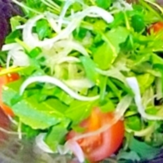 ルッコラと水菜のサラダ